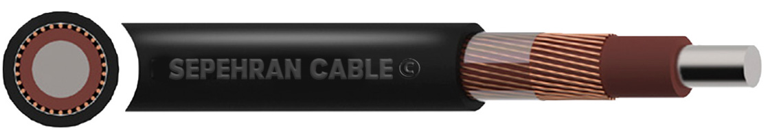 Aluminium Concentric BS 7870 PVC Cable