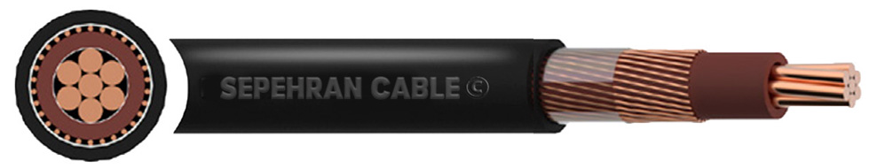 Copper Concentric BS 7870 PVC Cable