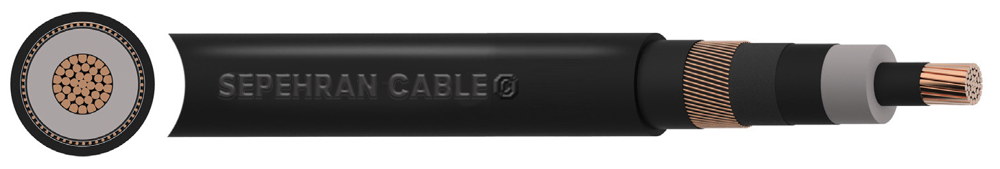 N2XS(F)2Y 6/10 (12)kV Cable