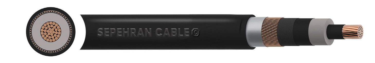 N2XS(FL)2Y 6/10 (12)kV Cable