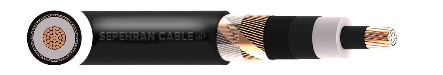 N2XS2Y 6/10 (12)kV Cable